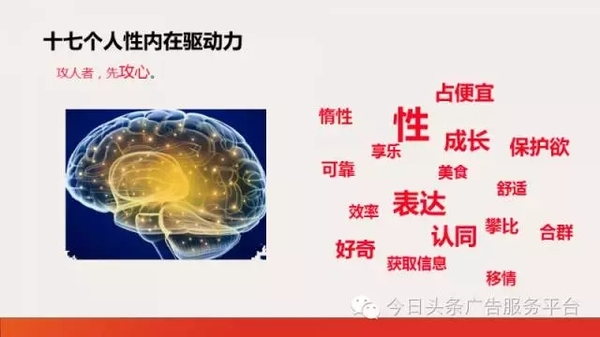 巨宣網絡