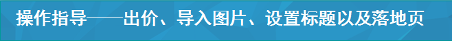 操作指導——出價、導入圖片、設置標題以及落地頁
