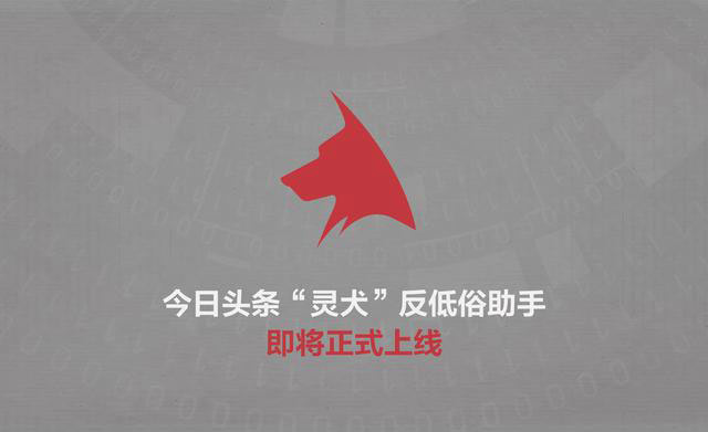 面對30位反低俗測試員的吐槽，我們找來了“靈犬”一一解答