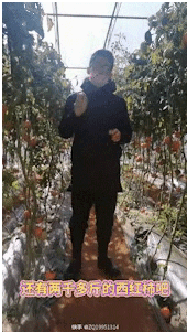 快手廣告開戶