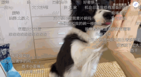 為什么越來越多廣告主在嗶哩嗶哩投放廣告？
