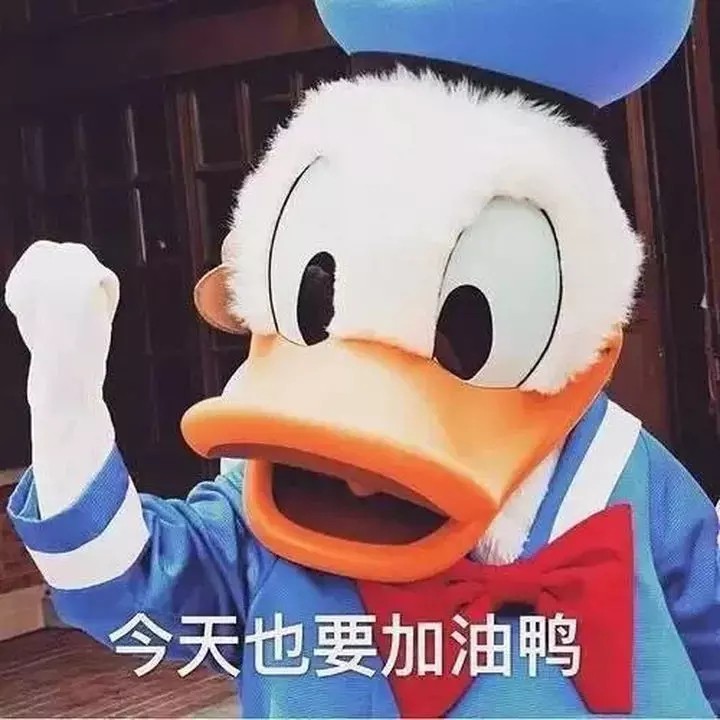 做知乎廣告找哪里