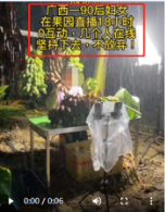 請勿宣傳違反社會公序良俗的內容, 如【利用利用貧窮描述騙取用戶同情推廣商品】請修改 請勿宣傳違反社會公序良俗的內容, 如【利用利用貧窮描述騙取用戶同情推廣商品】請修改