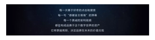 B站品牌資產