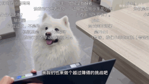 嗶哩嗶哩廣告投放的費用是多少？