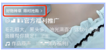 廣告樣式