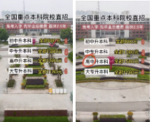 大字報(bào)類