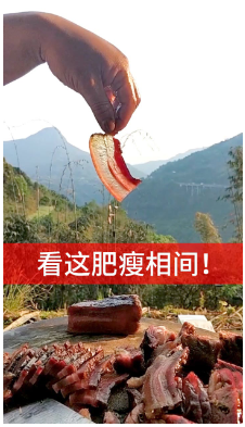 封面亮點(diǎn)