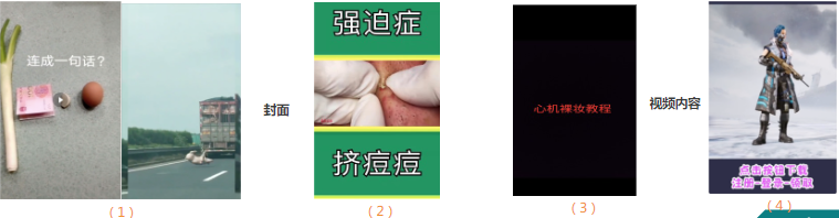 拒審原因
