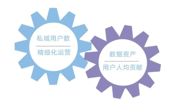 快消行業私域增長飛輪