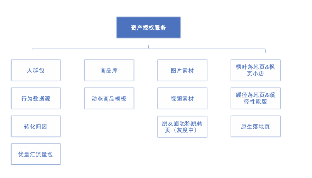 目前已支持授權的資產如下：