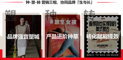 協(xié)同生長(zhǎng)