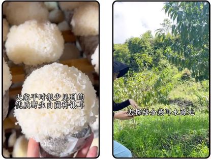 產品溯源