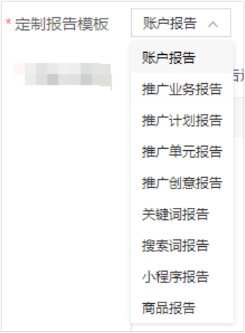 定制報告模板