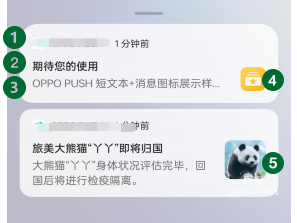 OPPO廣告OPUSH創新樣式小圖&中圖