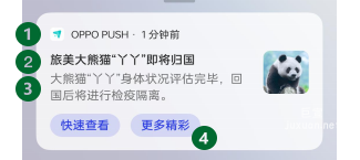 OPPO廣告OPUSH創新樣式按鈕