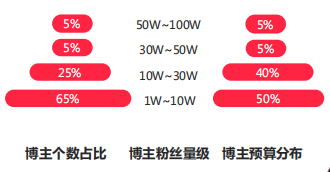 小紅書搜索廣告不同粉絲量級博主投放占比