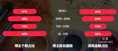 小紅書廣告投放博主個(gè)數(shù)、粉絲、消耗金額占比