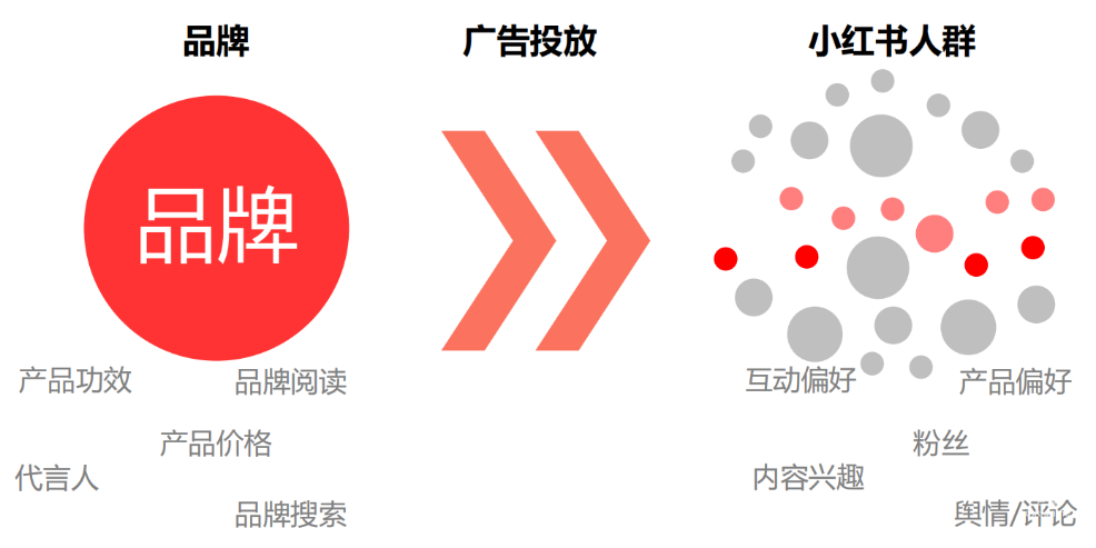 小紅書品牌投放人群