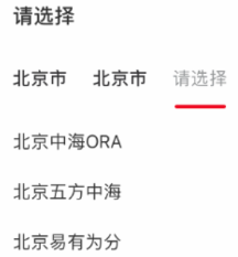 小紅書廣告多級選項
