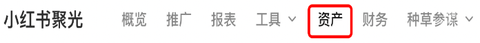 小紅書廣告資產(chǎn)