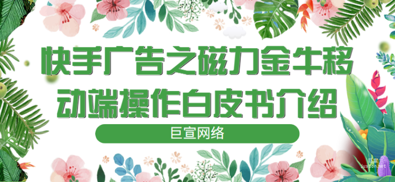 快手廣告之磁力金牛移動(dòng)端操作白皮書(shū)介紹