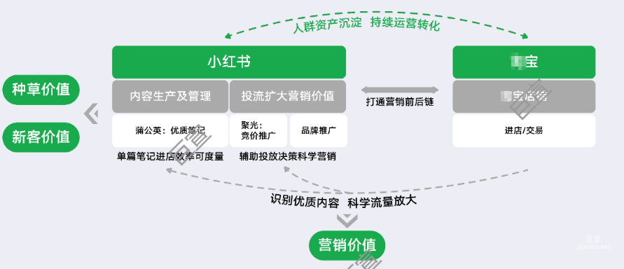 小紅書廣告與某寶合作項目：小紅星