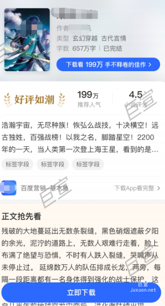 百度廣告小說行業程序化模版
